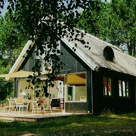 Experience Vibe Of Fredskov's Nature Nyaraló *