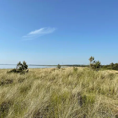 Nyaraló Experience Vibe Of Fredskov's Nature Ornum