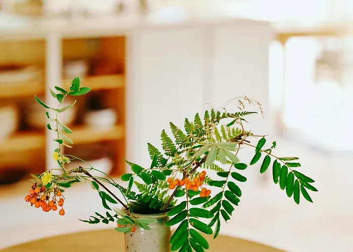 Experience Vibe Of Fredskov's Nature