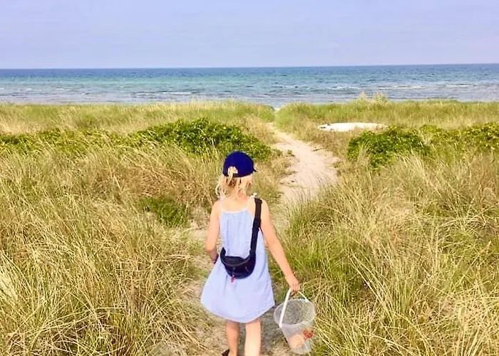 Nyaraló Experience Vibe Of Fredskov's Nature Ornum