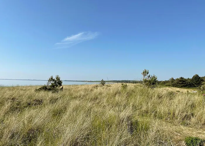 Nyaraló Experience Vibe Of Fredskov's Nature Ornum