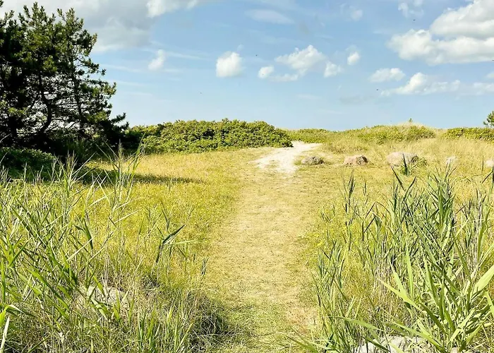 Nyaraló Experience Vibe Of Fredskov's Nature